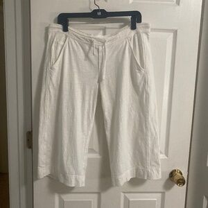 James Perse  Long Shorts Size 2 EUC